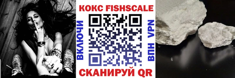 МЕГА маркетплейс  Бодайбо  COCAIN Fish Scale  где можно купить  