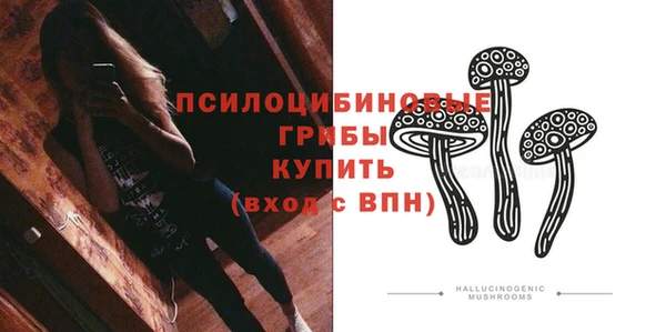 дмт Алексин
