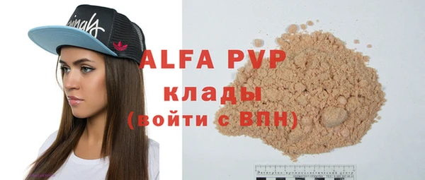 хмурый Алзамай