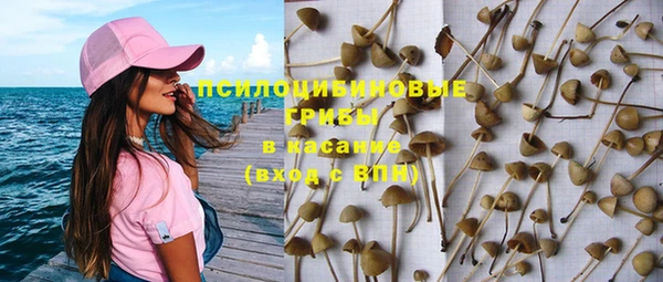 дмт Алексин