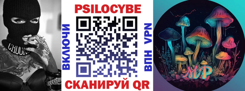 ОМГ ОМГ как войти  Бодайбо  Галлюциногенные грибы Psilocybine cubensis 